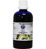 Drogisterij.net B nagel passiflora tinctuur (100ml) aanbieding