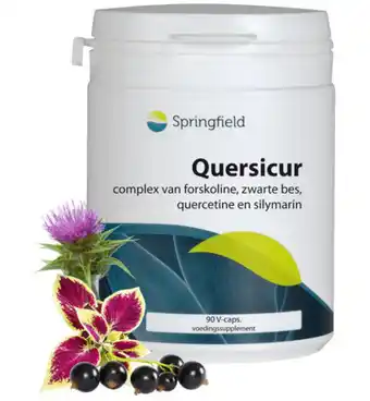 Drogisterij.net Springfield quersicur antioxy complex (90vc) aanbieding