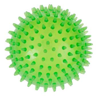 Zooplus Tpr spiky bal large 1 stuk aanbieding