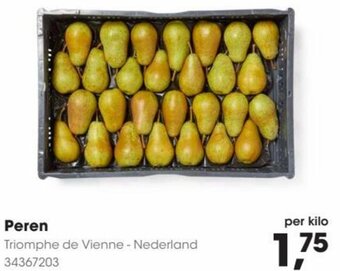HANOS Peren aanbieding