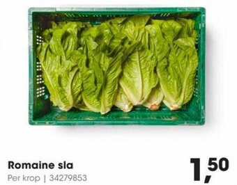 HANOS Romaine sla aanbieding