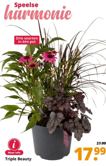 GroenRijk Triple beauty aanbieding