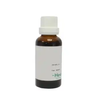 Drogisterij.net Homeoden heel millefolium phyto (30ml) aanbieding