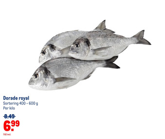 Makro Dorade royal aanbieding