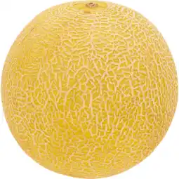 Jumbo Jumbo galia meloen aanbieding