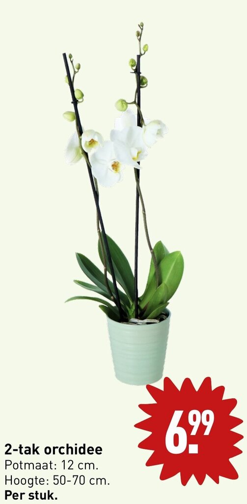 Kunstplant orchidee roze - 2 tak h54cm - Top Tuincentrum