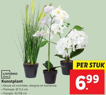 Lidl LIVARNO home Kunstplant aanbieding