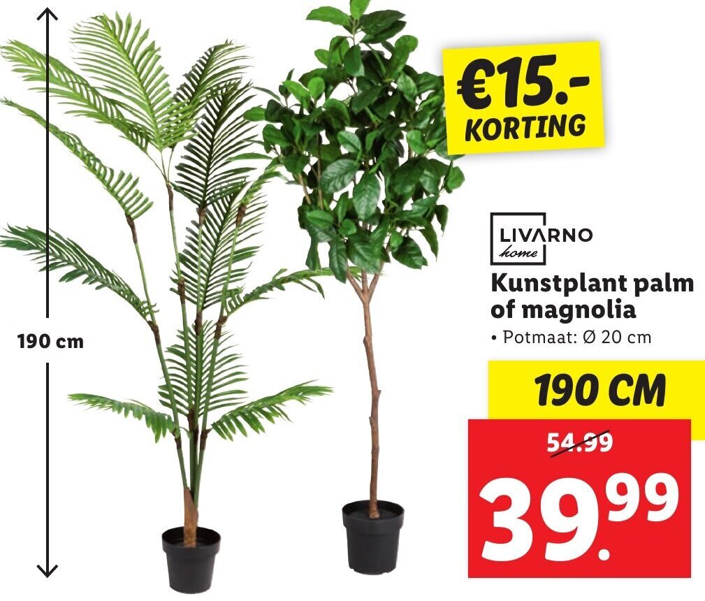 LIVARNO home Kunstplant palm of magnolia 190 cm aanbieding bij Lidl