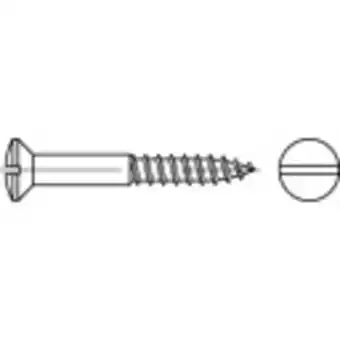 Conrad Toolcraft to-5446164 lenskop verzonken houtschroeven 2.5 mm 20 mm sleuf din 95 messing 500 stuk(s) aanbieding