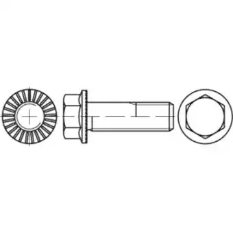 Conrad Toolcraft to-5444505 zeskantbouten m10 16 mm buitenzeskant 88913 200 stuk(s) aanbieding