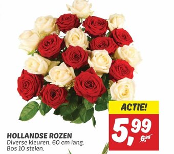 Dekamarkt HOLLANDSE ROZEN aanbieding