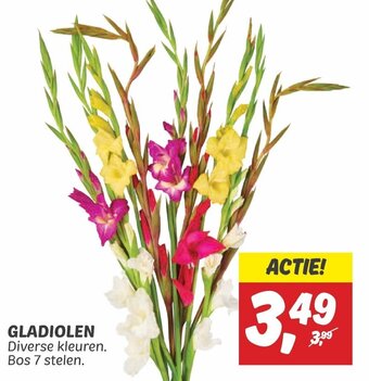 Dekamarkt GLADIOLEN aanbieding