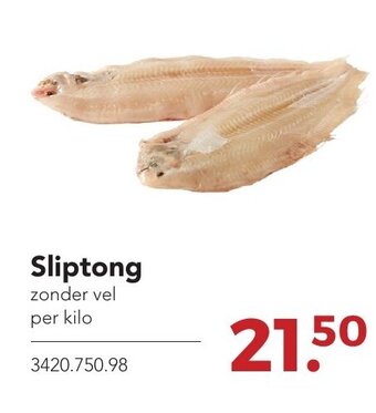 Zegro Sliptong aanbieding