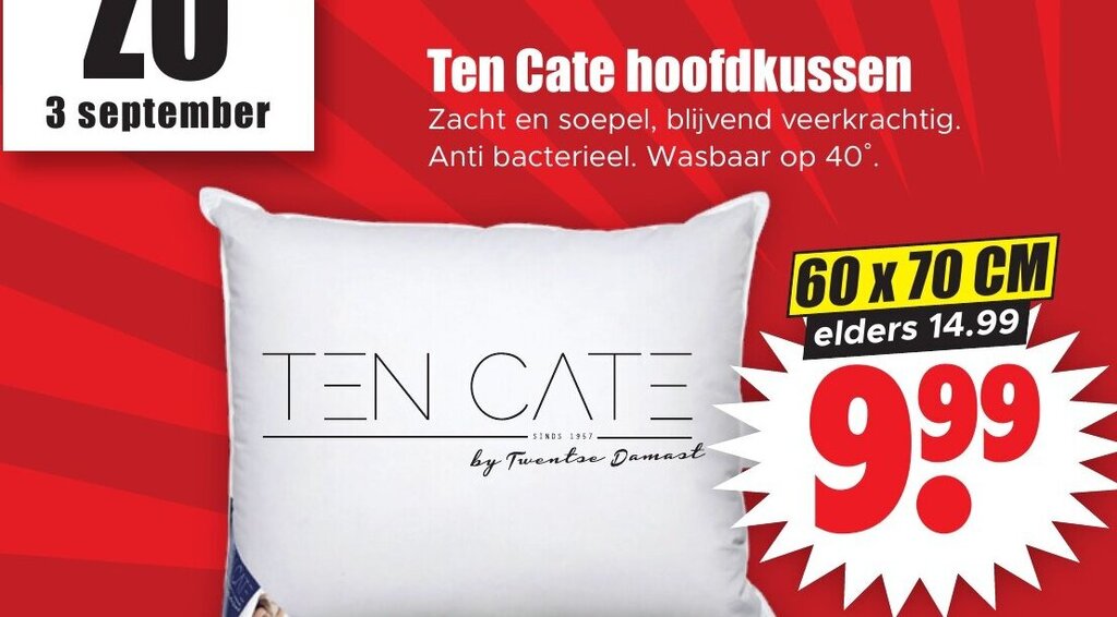 Tarrington House verendons hoofdkussen 60 x 70 cm aanbieding bij Makro