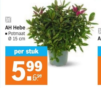 Albert Heijn AH Hebe aanbieding