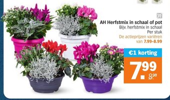 Albert Heijn AH Herfstmix in schaal of pot aanbieding