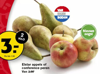 Hoogvliet Elstar appels of conference peren aanbieding