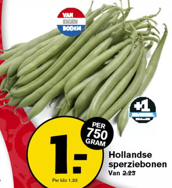 Hoogvliet Hollandse sperziebonen 750g aanbieding