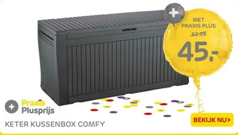 Praxis Keter kussenbox comfy aanbieding