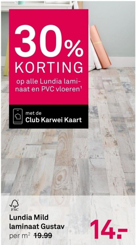 Lundia Mild laminaat Gustav per m² aanbieding bij Karwei