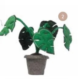 Baby & Tiener Plant monstera aanbieding