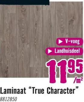 Hornbach Laminaat true character aanbieding