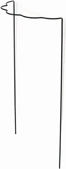 Intratuin Peacock steun geschulpt halfrond 100x40cm aanbieding