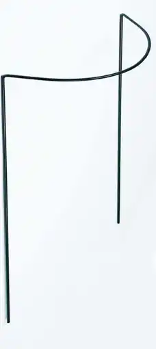 Intratuin Peacock steun halfrond 35x40cm aanbieding