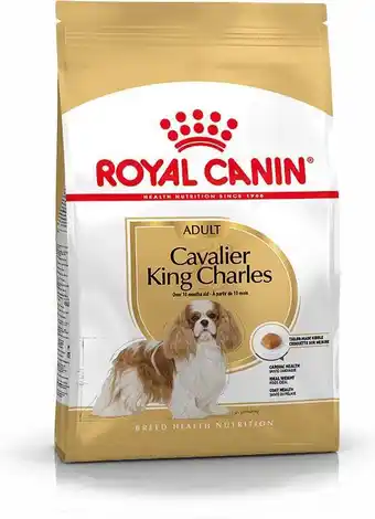 Intratuin Royal canin hondenvoer cavalier king charles adult 1,5 kg aanbieding