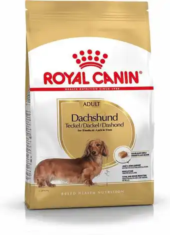 Intratuin Royal canin hondenvoer dachshund adult 1,5 kg aanbieding