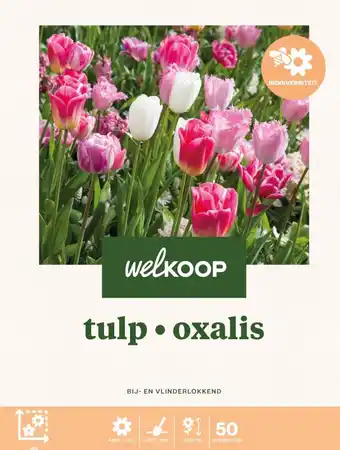 Welkoop Florex bloembollenmix 1m2 bloementapijt fata morgana - bloembollen - 50 stuks aanbieding