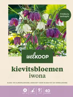 Welkoop Welkoop kievitsbloem fritillaria meleagris - bloembollen - 40 stuks aanbieding