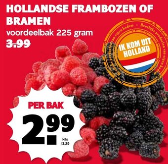 De Boerenschuur HOLLANDSE FRAMBOZEN OF BRAMEN 225g aanbieding