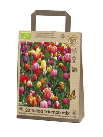 Welkoop Tulp triumph - bloembollen - 20 stuks aanbieding