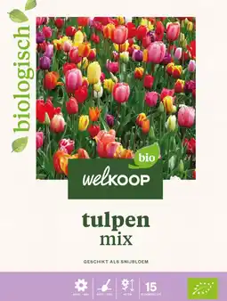 Welkoop Tulp triumph - bloembollen - 20 stuks aanbieding
