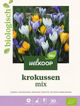 Welkoop Krokus grootbloemig - bloembollen - 30 stuks aanbieding