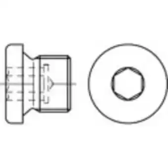 Conrad Toolcraft 1061766 sluitschroeven 2 zoll binnenzeskant (inbus) din 908 rvs a4 1 stuk(s) aanbieding