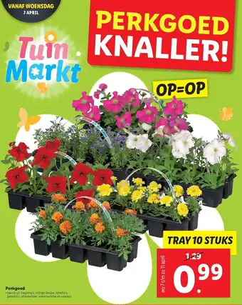 Lidl Perkgoeg 10 st aanbieding