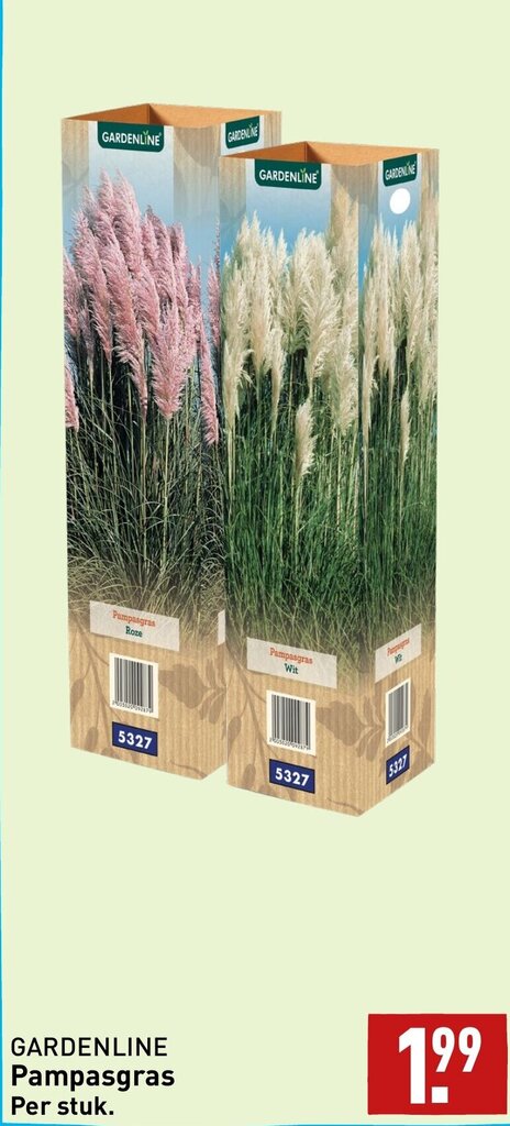 GARDENLINE Pampasgras aanbieding bij ALDI