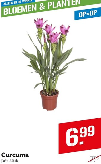 Coop Curcuma per stuk aanbieding