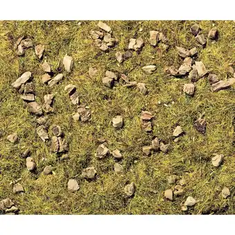Conrad Noch 8360 strooigras stenige bergweide groen (gemiddeld) aanbieding