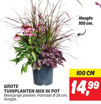 Dekamarkt GROTE TUINPLANTEN MIX IN POT 100 cm aanbieding