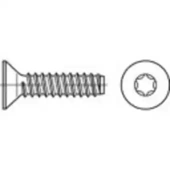 Conrad Toolcraft 149724 verzonken plaatschroeven 3.5 mm 16 mm t-profiel iso 14586 staal galvanisch verzinkt 1000 stuk(s) aanbieding