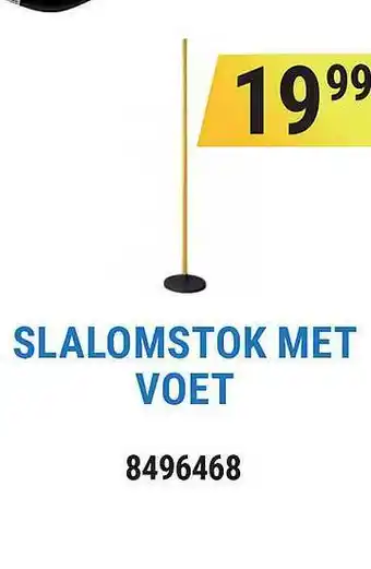 Decathlon Slalomstok Met Voet aanbieding