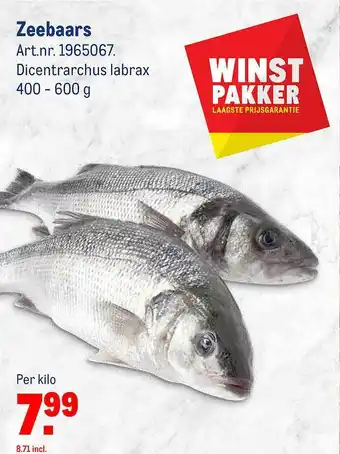 Makro Zeebaars Dicentrarchus Labrax aanbieding