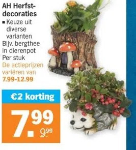 Albert Heijn Ah herfst planten aanbieding