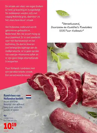 Makro Rundvlees Van Hollandse Bodem aanbieding