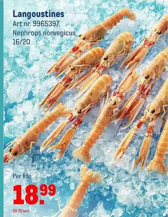 Makro Langoustines aanbieding