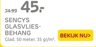 Praxis Sencys glasvliesbehang aanbieding