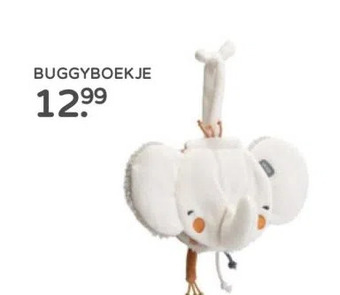 Prenatal Buggyboekje aanbieding